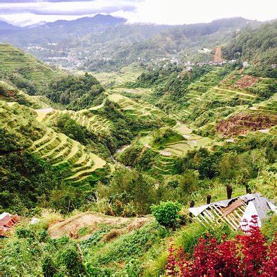 things to do in ifugao province|THE 10 BEST Things to Do in Ifugao Province (2024) .